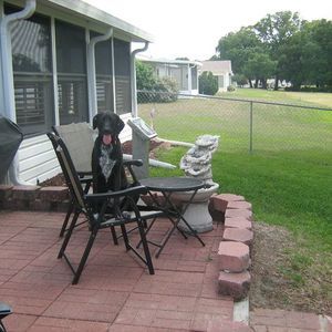 Meet your Posher, Wayne